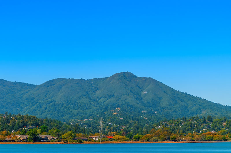 Aesthetic Dermatology & Skin Cancer in Mill Valley, CA